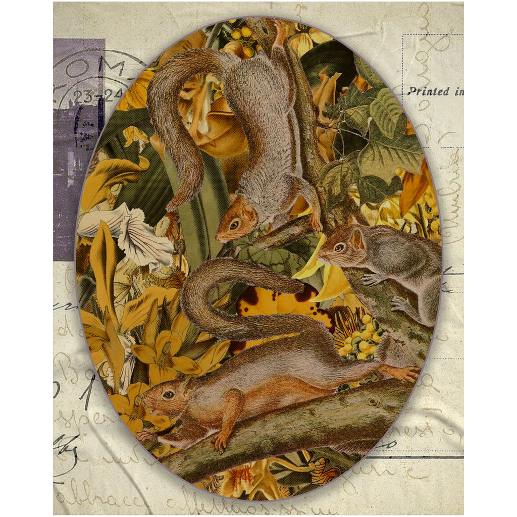 Postcard from Squirrels
