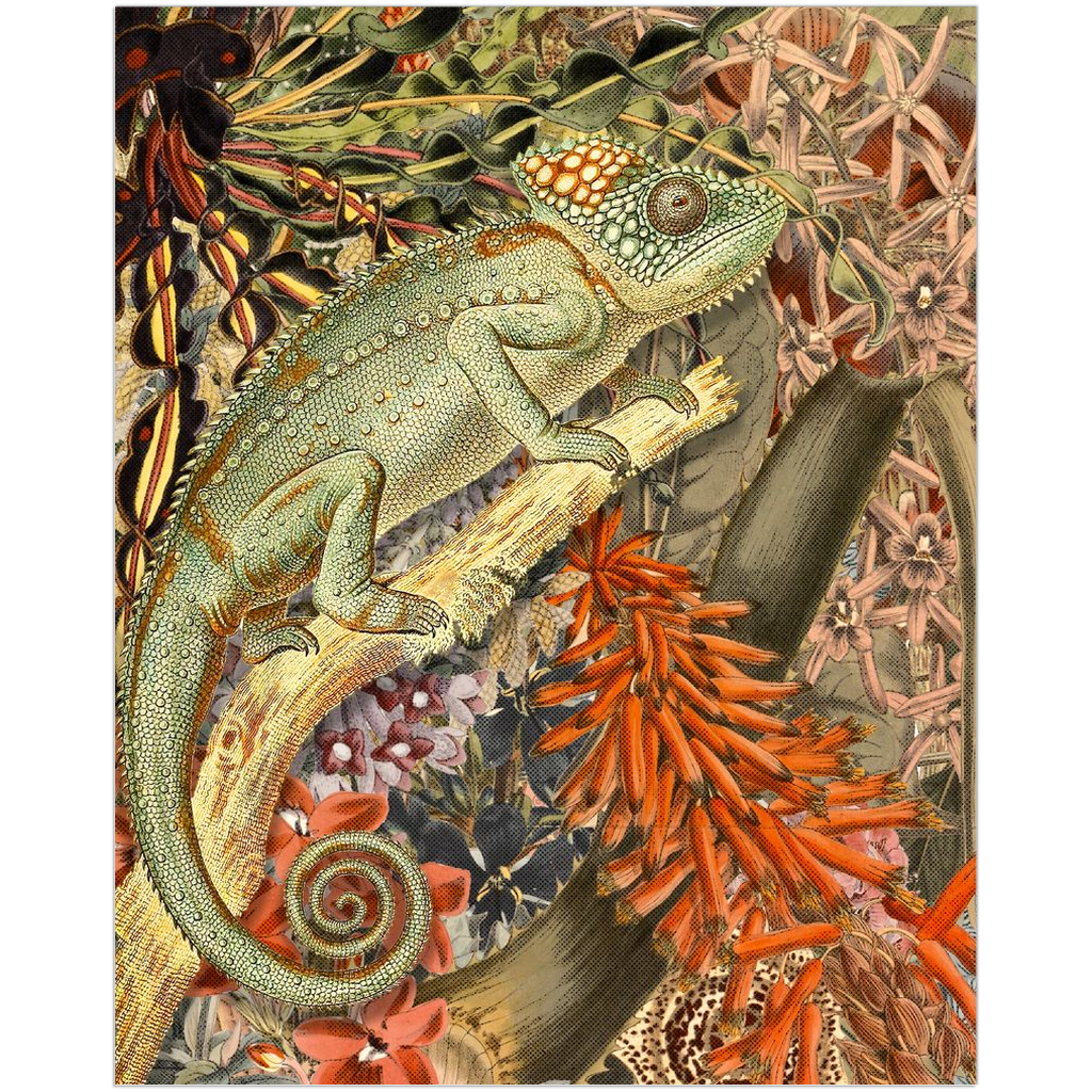Chameleon