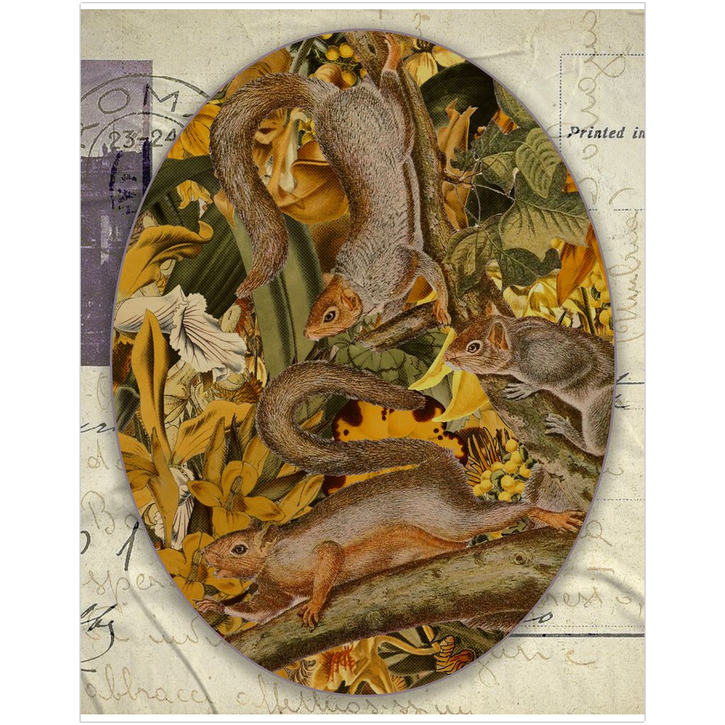 Postcard from Squirrels