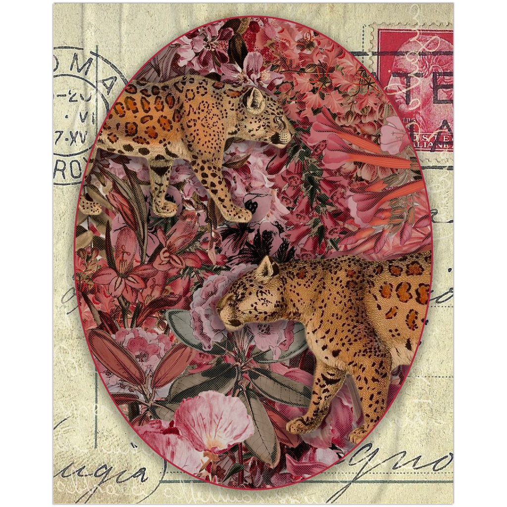 Postcard from Leopards
