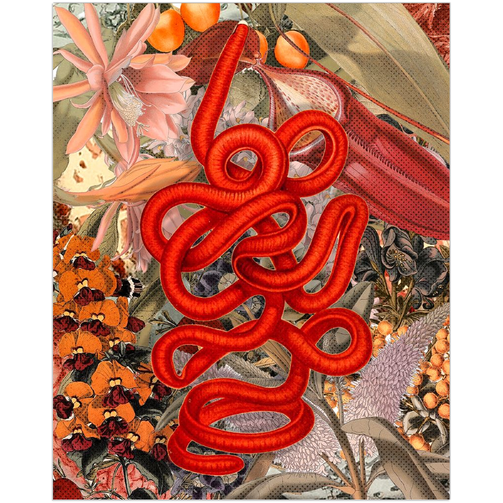 Off Brand Gucci Snakes