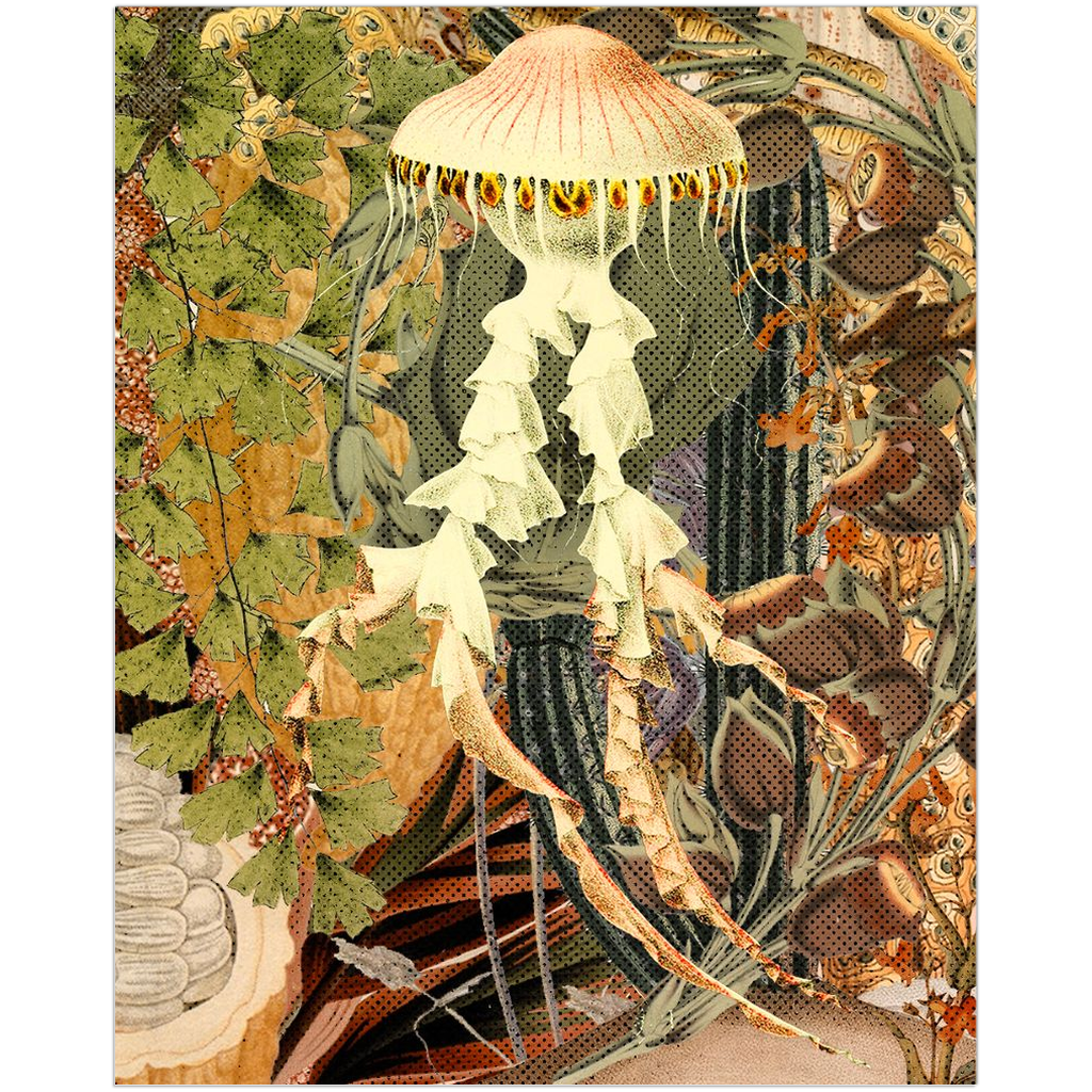 Jellyfish