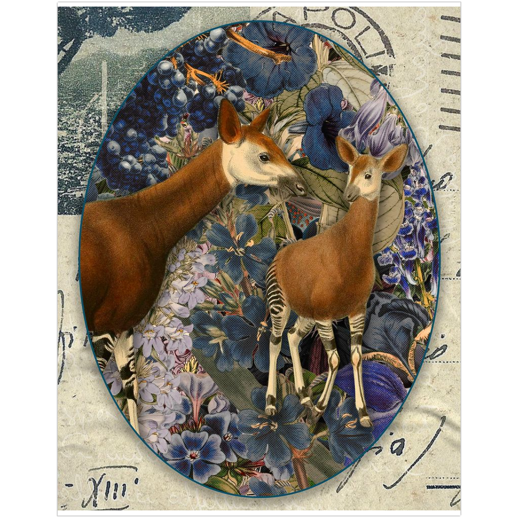 Postcard from Okapi