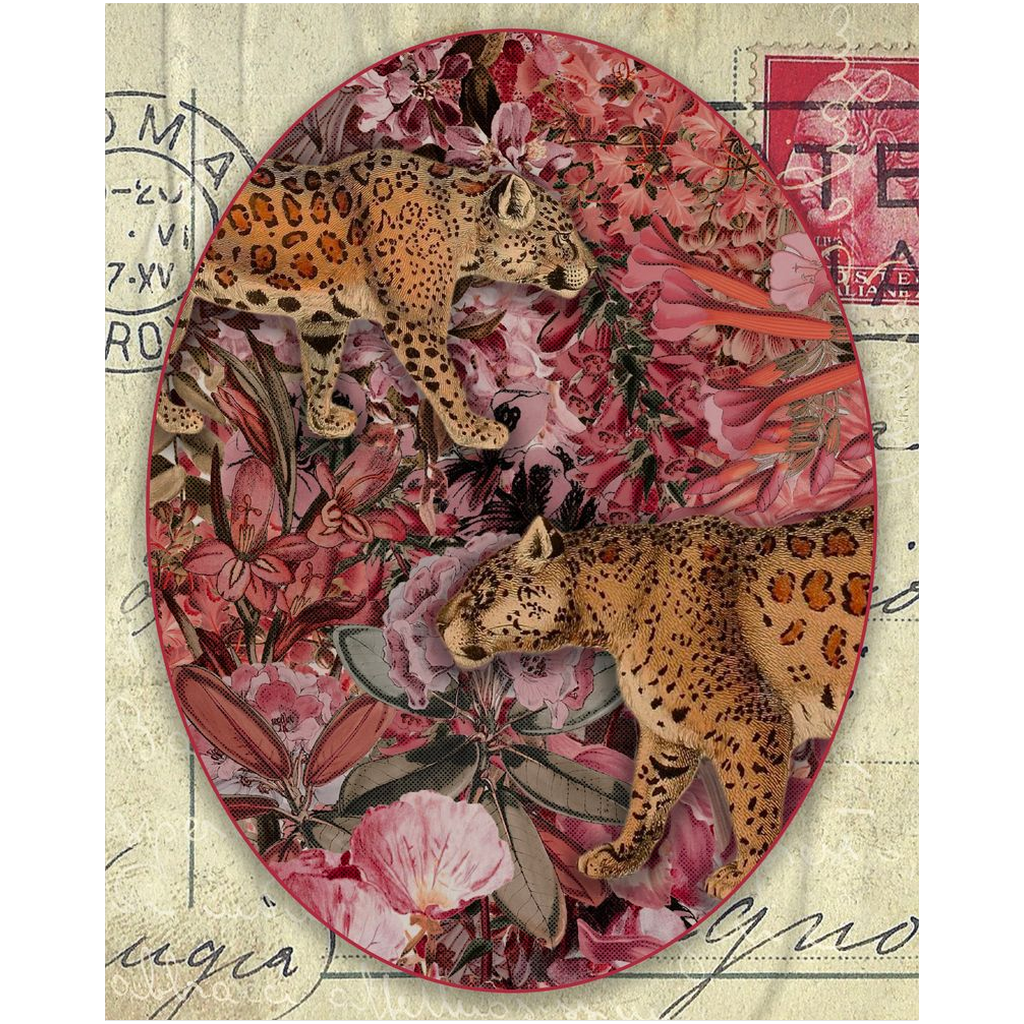 Postcard from Leopards