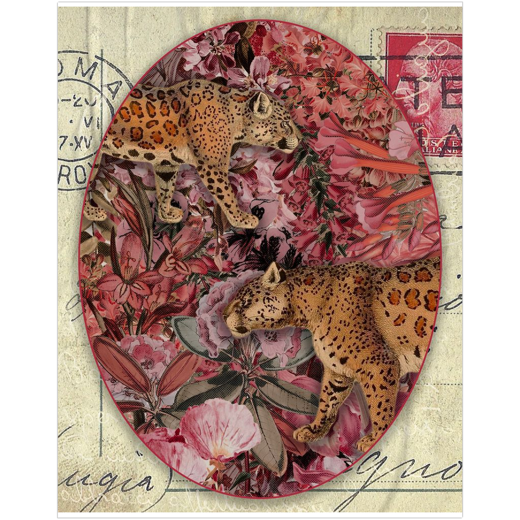 Postcard from Leopards
