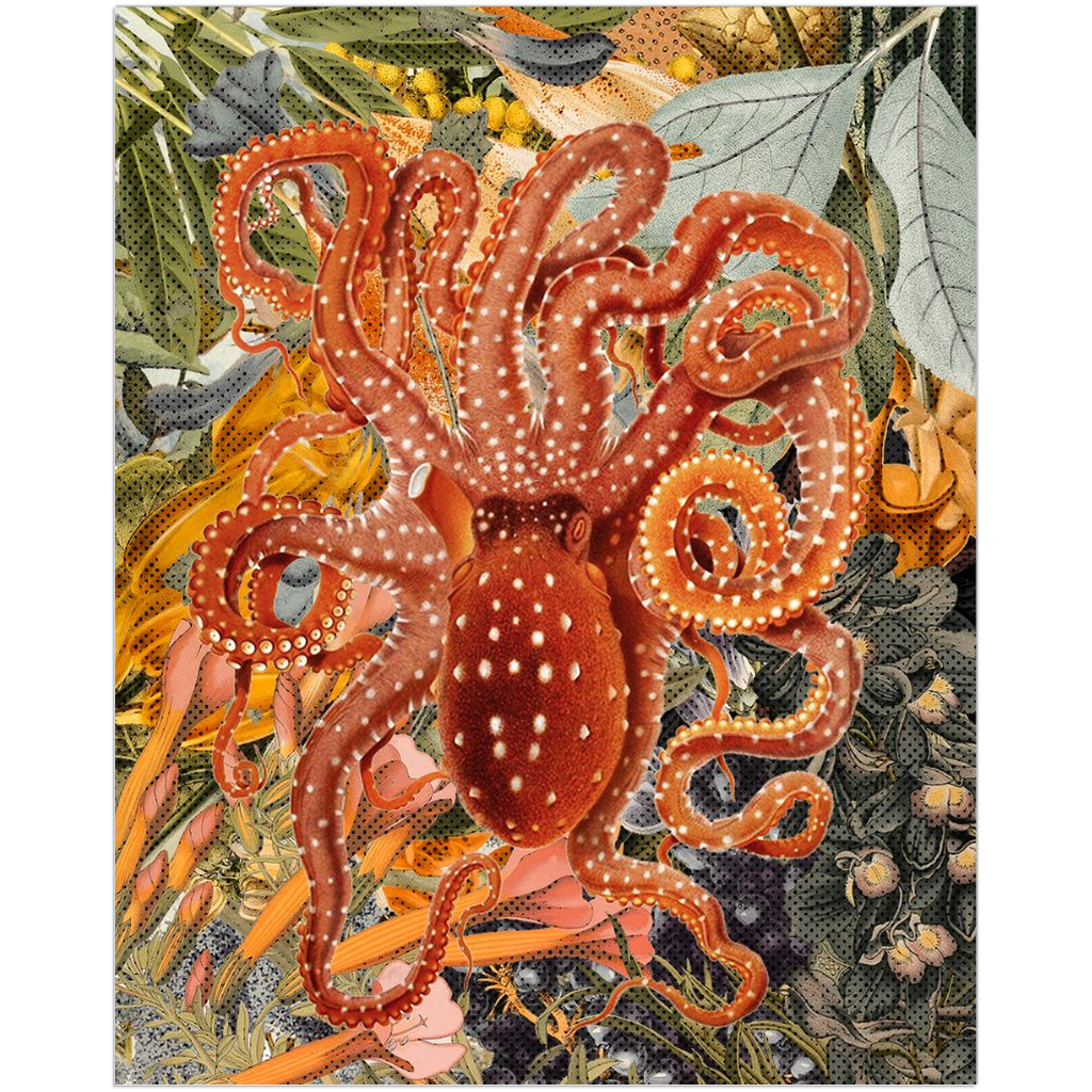 Octopus I