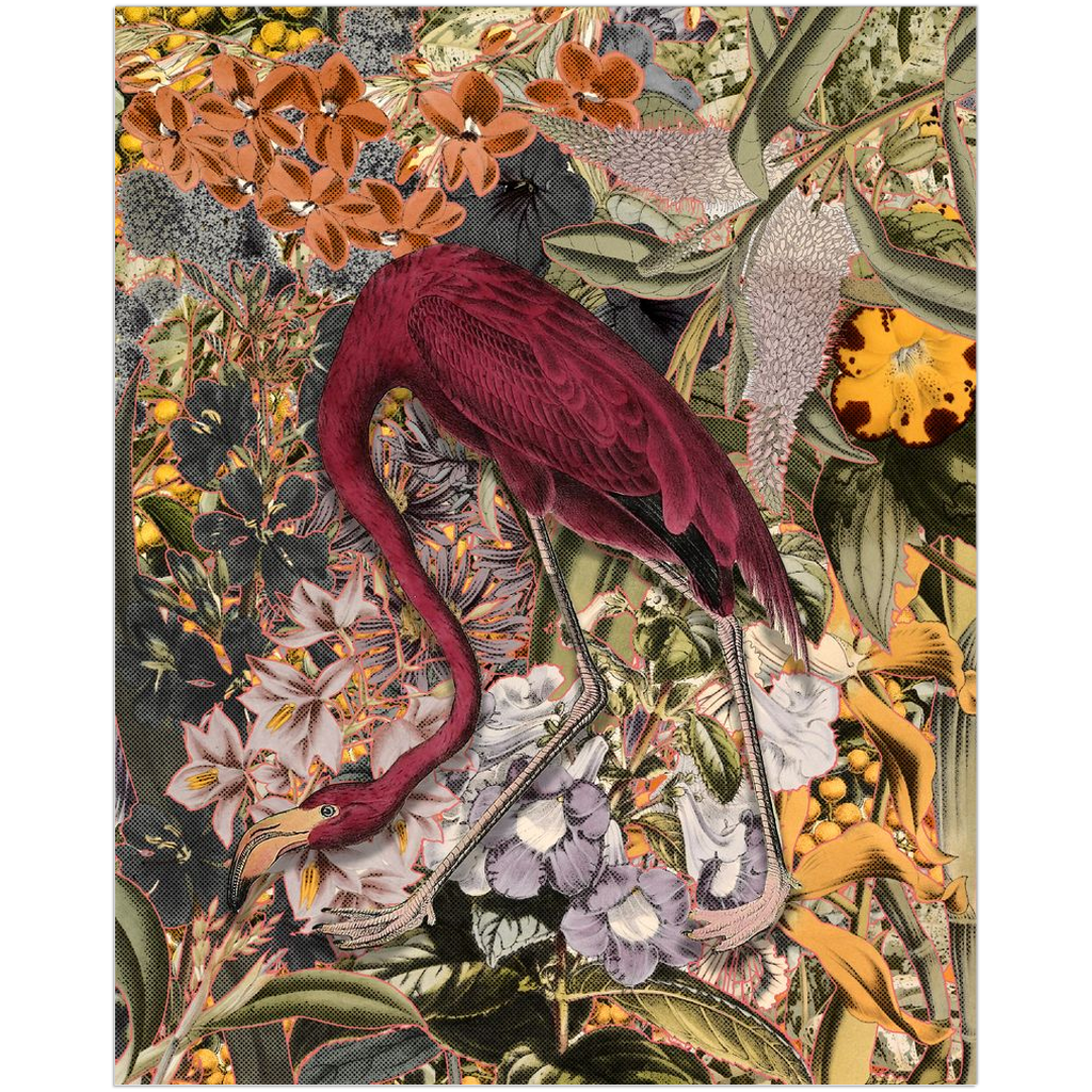 Wine Stained Flamingo