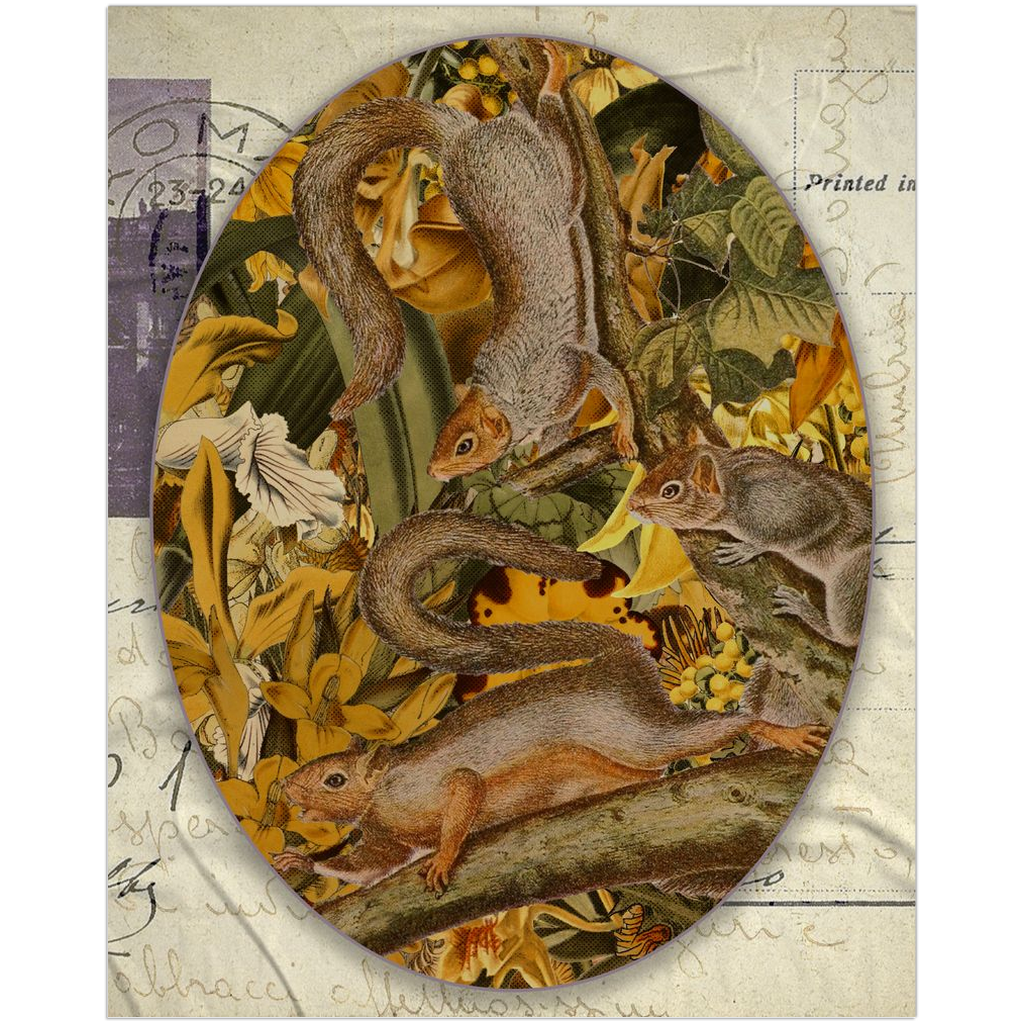 Postcard from Squirrels